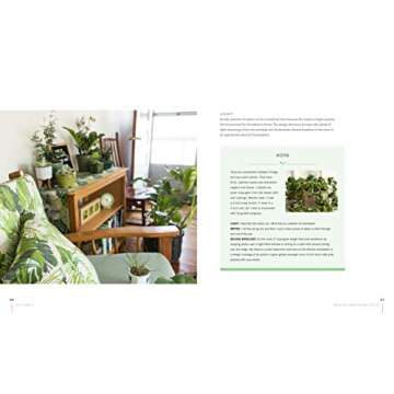 Living Decor: Plants, Potting and DIY Projects - Botanical Styling with Fiddle-Leaf Figs, Monsteras, Air Plants, Succulents, Ferns, and More of Your Favorite Houseplants