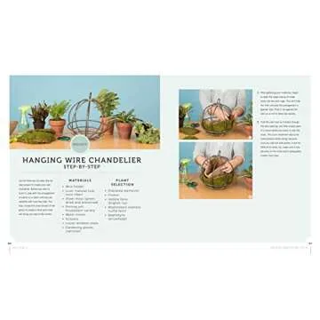 Living Decor: Plants, Potting and DIY Projects - Botanical Styling with Fiddle-Leaf Figs, Monsteras, Air Plants, Succulents, Ferns, and More of Your Favorite Houseplants