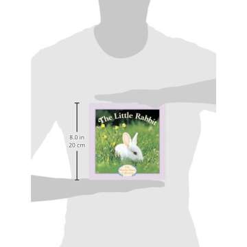 The Little Rabbit Plush Toy - Adorable Companion from Phoebe Dunn Collection