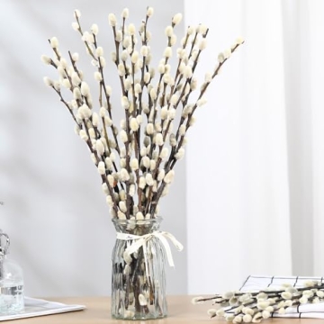 Natural Preserved Dried Pussywillow Branches for Decor