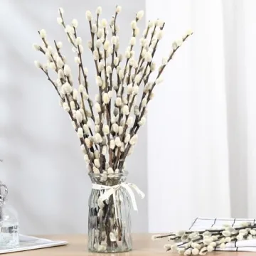 Natural Preserved Dried Pussywillow Branches for Decor