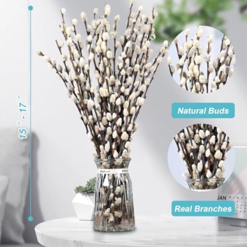 Natural Preserved Dried Pussywillow Branches for Decor