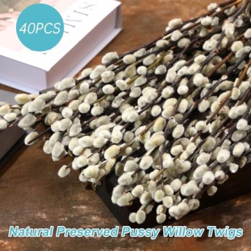 Natural Preserved Dried Pussywillow Branches for Decor