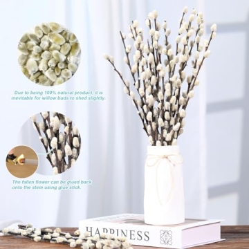 Natural Preserved Dried Pussywillow Branches for Decor