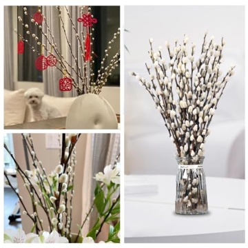 Natural Preserved Dried Pussywillow Branches for Decor