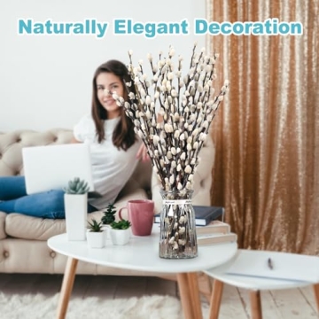 Natural Preserved Dried Pussywillow Branches for Decor