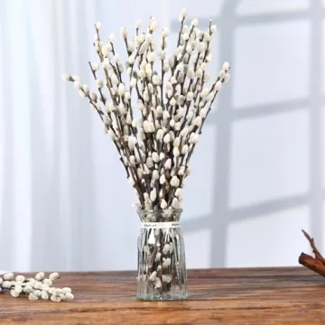 Natural Preserved Dried Pussywillow Branches for Decor