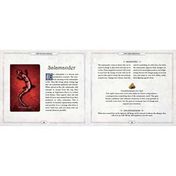The Witch's Oracle Card Deck - Vibrant & Insightful