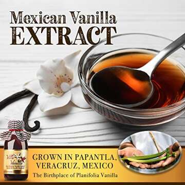 Villa Vainilla Pure Vanilla Extract Premium Concentrated Vanilla, Real, Natural, Gourmet Vanilla Flavor from Mexico (4.2 Fl Oz (Pure Vanilla Extract))