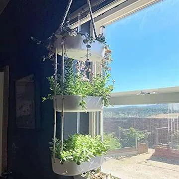 Mkono Hanging Wall Planter for Indoor Flower Plants, Ceramic Pots for Succulent Herb Air Faux Plant Holder Vertical Garden, Home Office Decor 3 Tier, White (Plant Not Included)