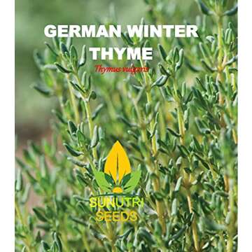 Thyme Seeds, 250+ German Winter, Heirloom, Non-GMO, Thymus vulgaris