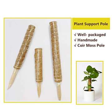 Domipool 20 Inch Coir Moss Pole for Climbing Plants