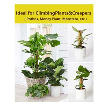 Domipool 20 Inch Coir Moss Pole for Climbing Plants