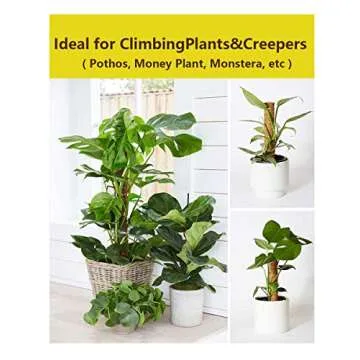 Domipool 20 Inch Coir Moss Pole for Climbing Plants