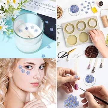 Nuanchu Natural Forget-me-not Dried Flowers Don't Forget Me Dried Real Pressed Flowers for Jewelry Candle Card Making DIY Resin Ornaments Nail Art Decorations(100 Pieces)