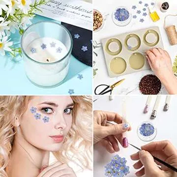 Nuanchu Natural Forget-me-not Dried Flowers Don't Forget Me Dried Real Pressed Flowers for Jewelry Candle Card Making DIY Resin Ornaments Nail Art Decorations(100 Pieces)