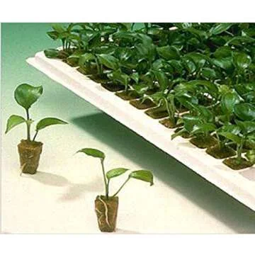 1.5 inch Rockwool/Stonewool Grow Cubes Starter Sheets for Cuttings, Cloning, Plant Propagation, Seed Starting Hydroponic Grow Media Growing Medium for Vigorous Plant Growth (28, 1.5)
