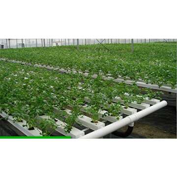 1.5 inch Rockwool/Stonewool Grow Cubes Starter Sheets for Cuttings, Cloning, Plant Propagation, Seed Starting Hydroponic Grow Media Growing Medium for Vigorous Plant Growth (28, 1.5)