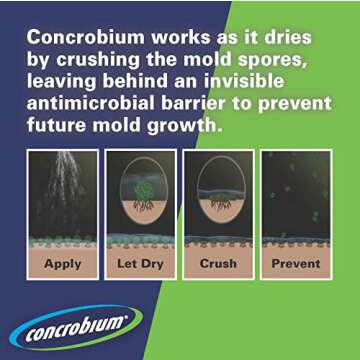Concrobium Mold Control Spray 32oz - Powerful Mold Eliminator