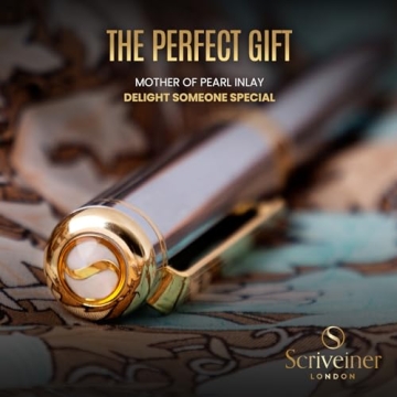 Scriveiner Silver Chrome Fountain Pen 24K Gold Schmidt Nib