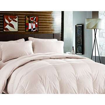 J&V TEXTILES Organic Sustainable Bamboo Down-Alternative Hypoallergenic Queen Comforter (Ivory)