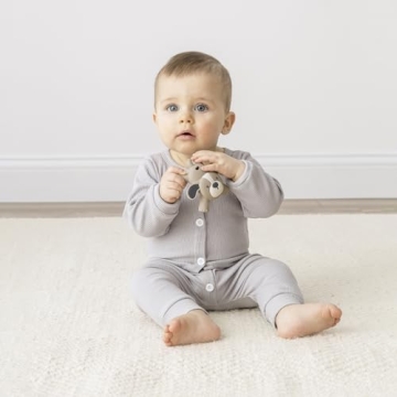 Ritzy Teether - Ultimate Teething Relief for Infants - Silicone Toy