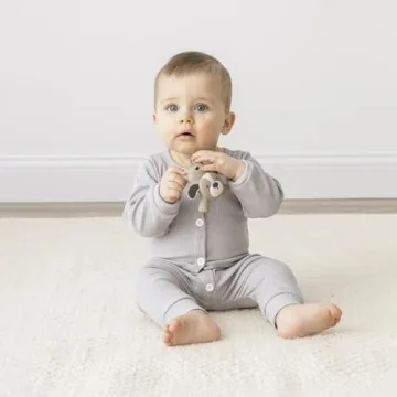 Ritzy Teether - Ultimate Teething Relief for Infants - Silicone Toy