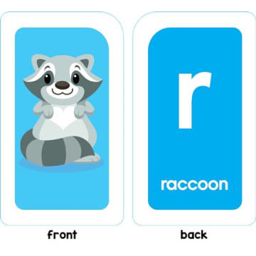School Zone Alphabet Flash Cards for Learning ABCs and Phonics