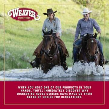 Weaver Leather Turquoise Diamond Beaded Horse Headstall