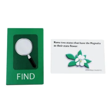 Game Zone Great States Board Game for Ages 7+