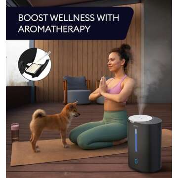 Top Fill Humidifier & Essential Oil Diffuser for Home