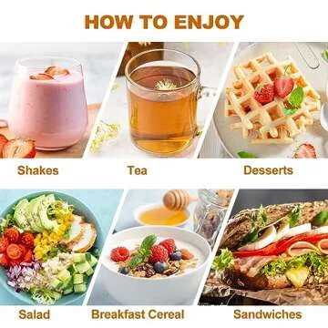 ACEYO Organic Irish Sea Moss Gel - Immune Booster & Energy