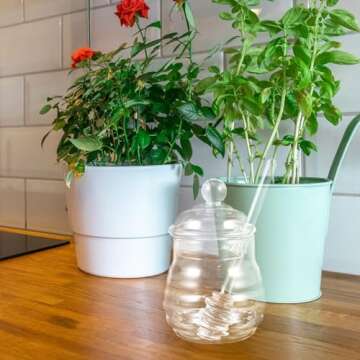 BESTONZON 250ml Glass Honey Pot Clear Jam Jar Set with Lid and Dipper for Home Kitchen