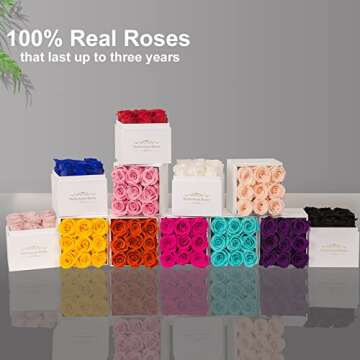 Perfectione Roses Preserved Flowers in a Box, Champagne Real Roses Long-Lasting Rose Valentines Day ...