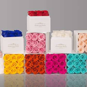 Perfectione Roses Preserved Flowers in a Box, Champagne Real Roses Long-Lasting Rose Valentines Day Gifts for Her, Mothers Day Roses Anniversary Christmas Day (Pink)