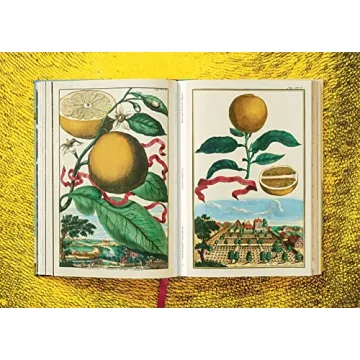 Stunning Citrus Reference Book - Visual Masterpiece by J.C. Volkamer
