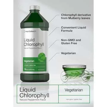 Horbäach Chlorophyll Liquid Drops | 100mg | 32 oz (2 x 16 oz Bottles) | Natural Peppermint Flavor | Vegetarian, Non-GMO, Gluten Free Supplement