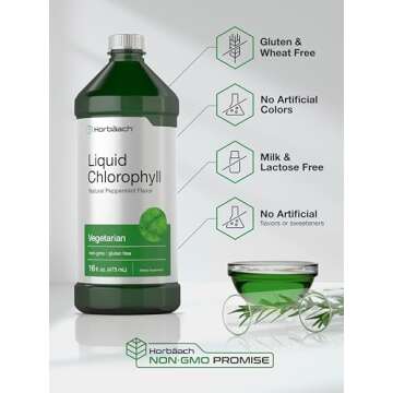 Horbäach Chlorophyll Liquid Drops | 100mg | 32 oz (2 x 16 oz Bottles) | Natural Peppermint Flavor | Vegetarian, Non-GMO, Gluten Free Supplement