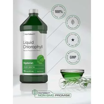 Horbäach Chlorophyll Liquid Drops | 100mg | 32 oz (2 x 16 oz Bottles) | Natural Peppermint Flavor | Vegetarian, Non-GMO, Gluten Free Supplement