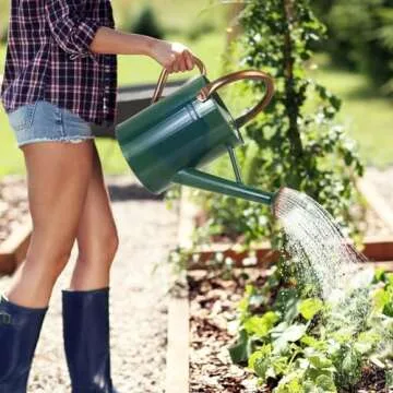 Lechloris Metal Watering Can for Outdoor Plants, 1 Gallon Galvanized Steel Watering Can with Removable spout for Outdoor & Indoor Use, Perfect for Garden Flower, Houseplants, Forest Green