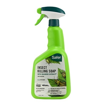 Safer Brand 5110-6 Insect Killing Soap - 32 Oz Effective Eco-Friendly Solution