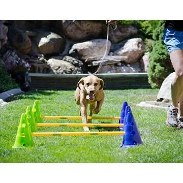 FitPaws® Dog Agility Kit: Portable Canine Cavaletti Set – Carry Bag Included | Adjustable Hurdles, Weave Poles and Training Cones | Indoor & Outdoor Dog Training Equipment