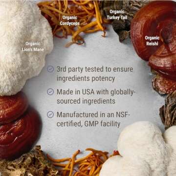 Live Conscious Lions Mane Mushroom Supplement Capsules for Brain Support w/Lion's Mane, Cordyceps, Reishi, and Turkey Tail Mushrooms - Cognitive Memory Supplement for Brain (2-Pack)