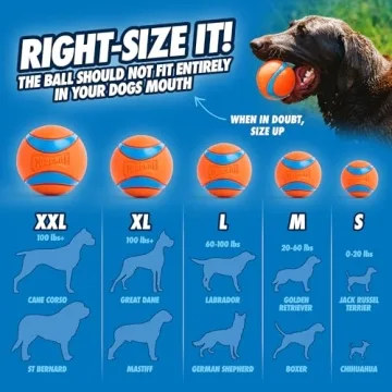 Chuckit! Sport 12M Dog Ball Launcher for Endless Fetch Fun