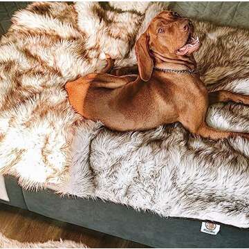 Waterproof Throw Blanket, Pet Bed Blanket for Dogs and Cats, Plush Fur Throw for Sleeping, Whelping, and Comfort, Furniture Protection, Stain Resistant Surface, Machine Washable (Bone White, 50x60")