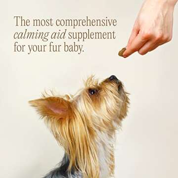 pawTree Chillax Natural Calming Hemp Chews for Dogs