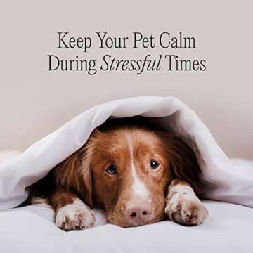 pawTree Chillax Natural Calming Hemp Chews for Dogs