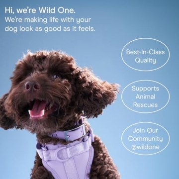 Wild One Treat Pouch for Stylish Dog Owners