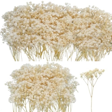 50Pcs Mini Dried Baby's Breath Flowers for Resin Art Craft DIY, 3000+ Natural Ivory White Bulk Flowe...