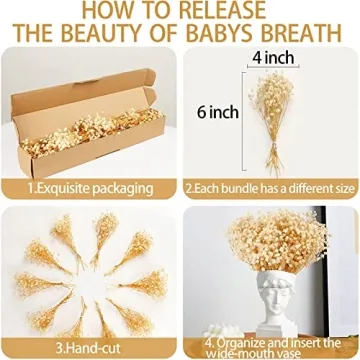 50Pcs Mini Dried Baby's Breath Flowers for Crafts